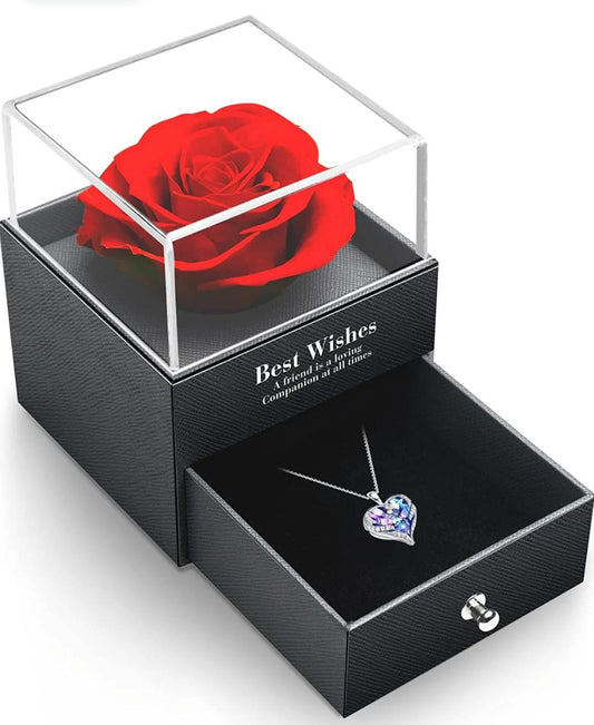 Preserve Natural Red Rose with Silver Plated Beautiful Necklace